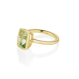 3.24ct Beryl Roxy Ring