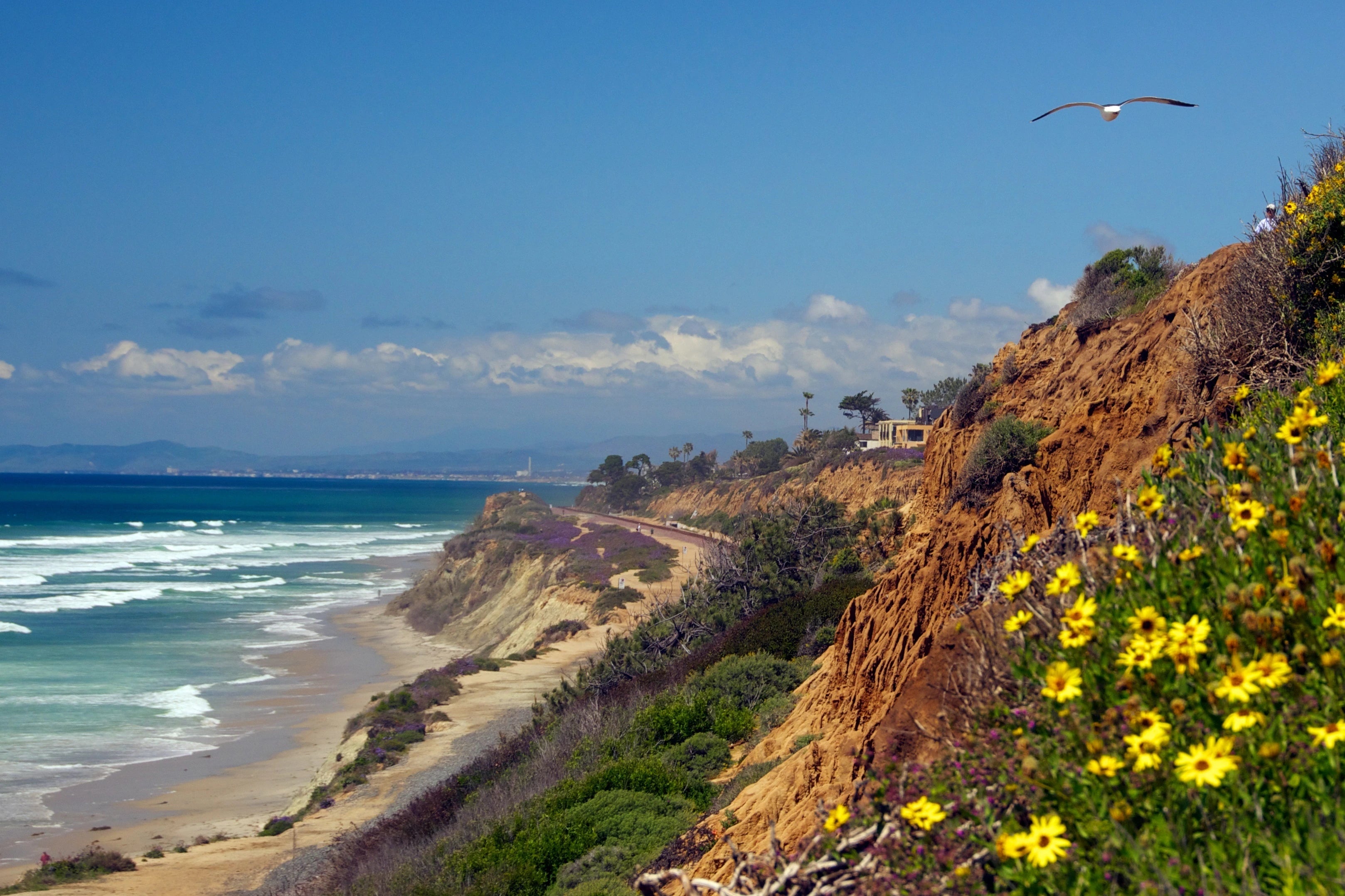 Scenery of San Diego- beach and cliffs